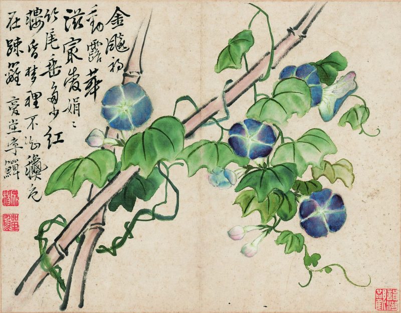 花鸟册十开