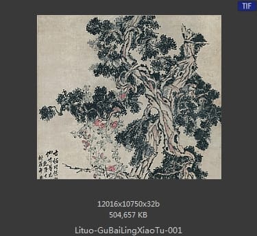 李鱓-古柏凌霄图 分段1