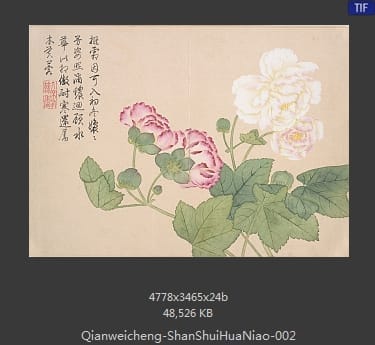 钱维城-山水花鸟册