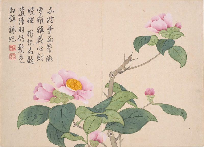 山水花鸟册