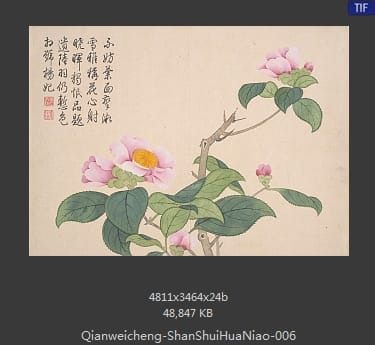 钱维城-山水花鸟册
