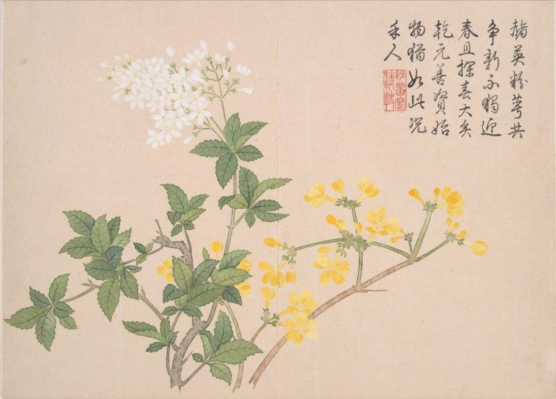 山水花鸟册