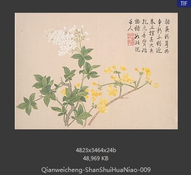 钱维城-山水花鸟册
