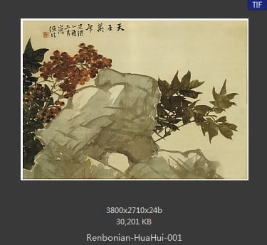 任伯年-花卉册页