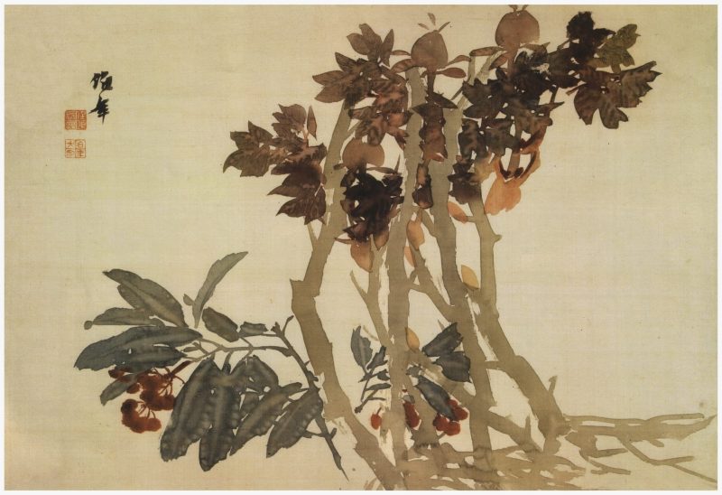 花卉册页