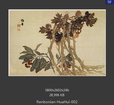 任伯年-花卉册页