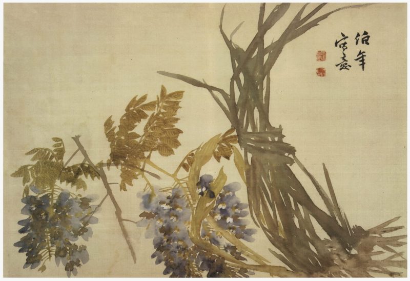 花卉册页