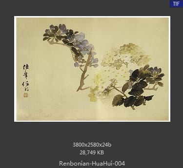任伯年-花卉册页