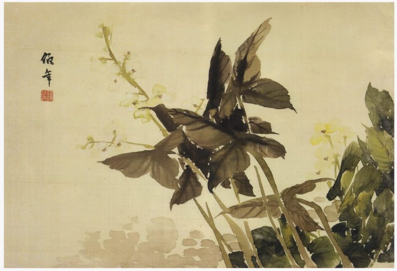花卉册页