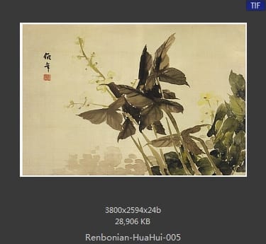 任伯年-花卉册页