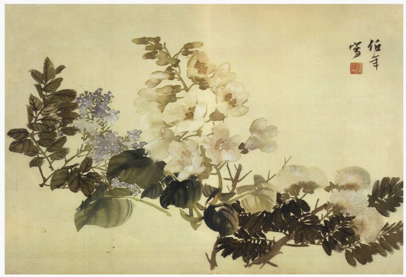 花卉册页