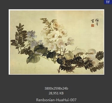 任伯年-花卉册页