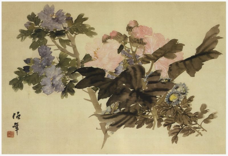 花卉册页