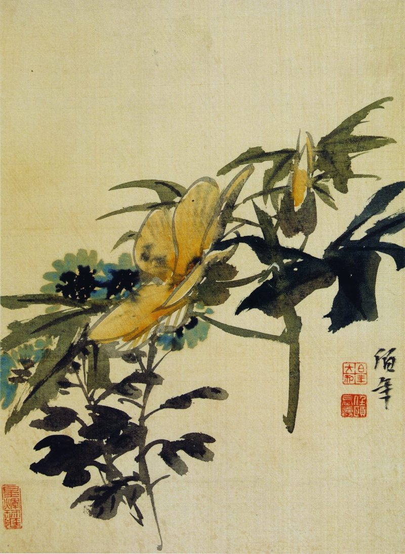 花鸟图册
