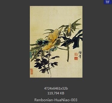 任伯年-花鸟图册