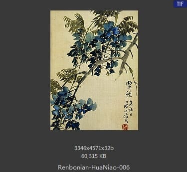 任伯年-花鸟图册