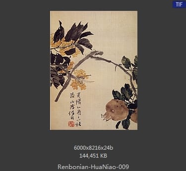 任伯年-花鸟图册