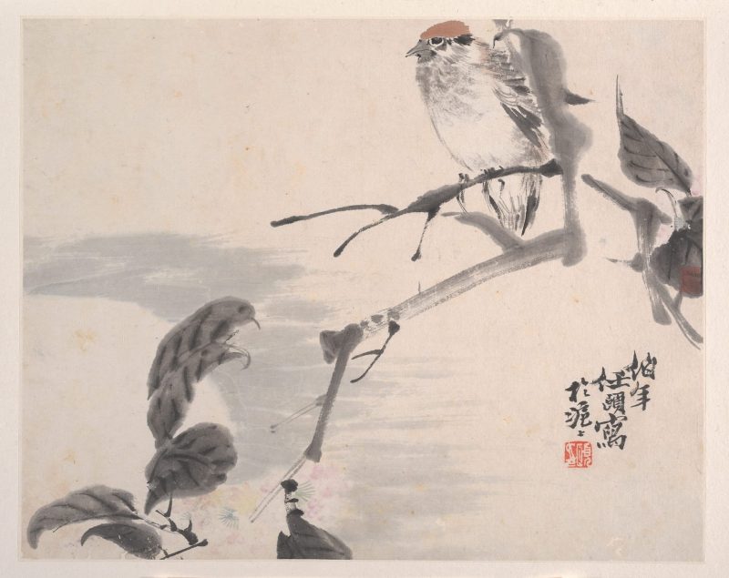 花鸟蔬果册页