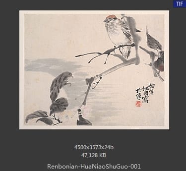 任伯年-花鸟蔬果册页