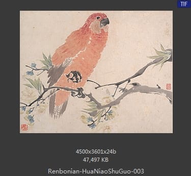 任伯年-花鸟蔬果册页