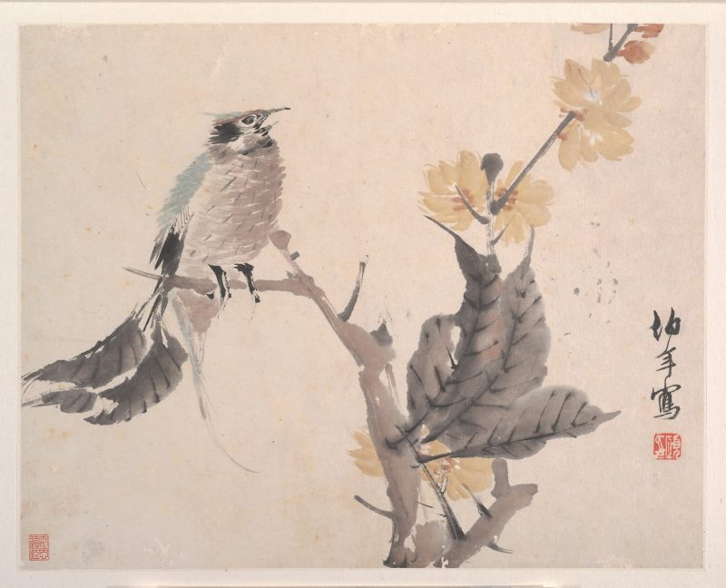 花鸟蔬果册页