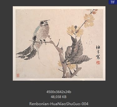 任伯年-花鸟蔬果册页