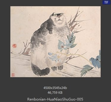 任伯年-花鸟蔬果册页