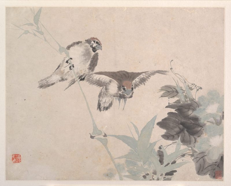 花鸟蔬果册页