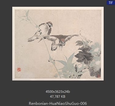 任伯年-花鸟蔬果册页
