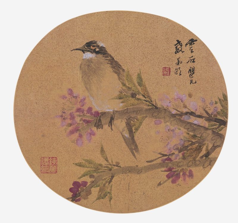 桃实白头