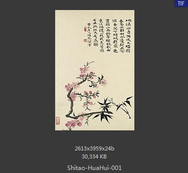 石涛-花卉册十帧