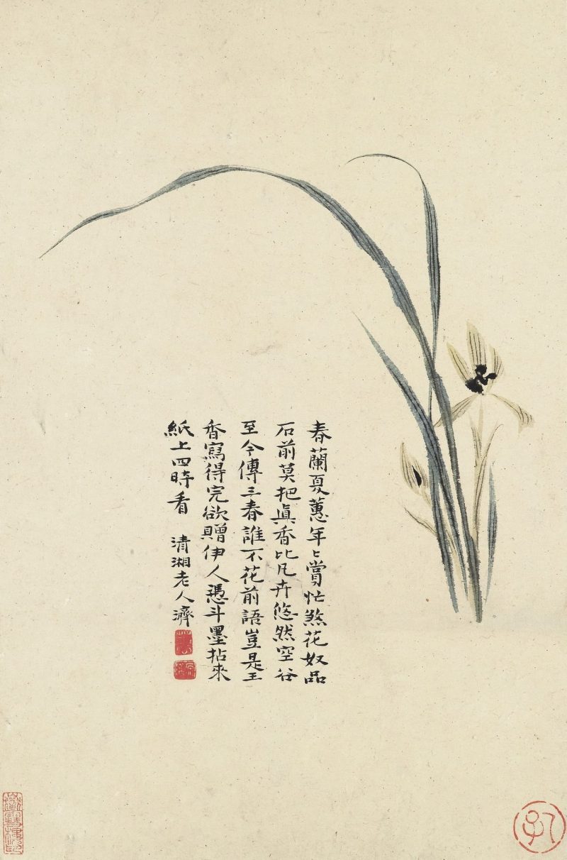 花卉册十帧