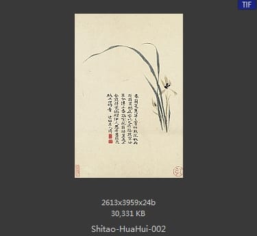 石涛-花卉册十帧