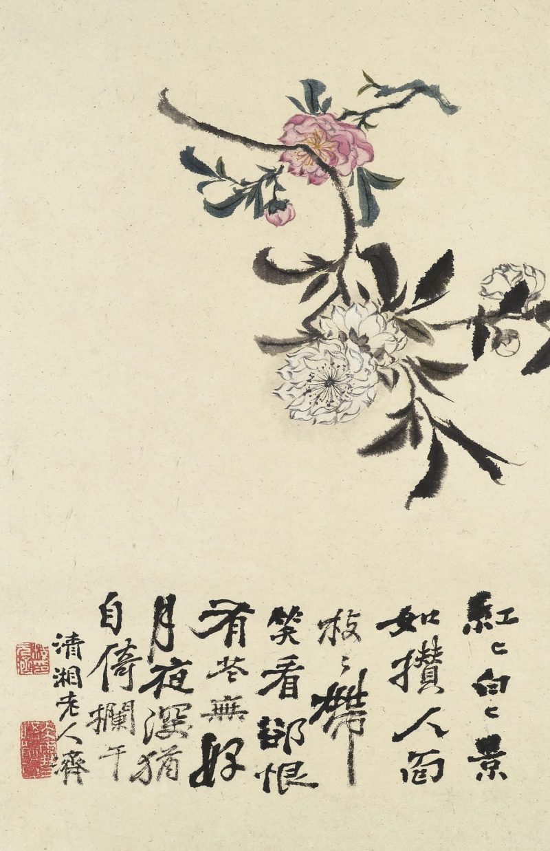 花卉册十帧