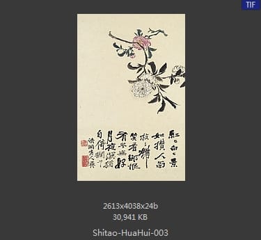 石涛-花卉册十帧
