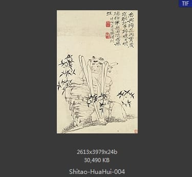 石涛-花卉册十帧