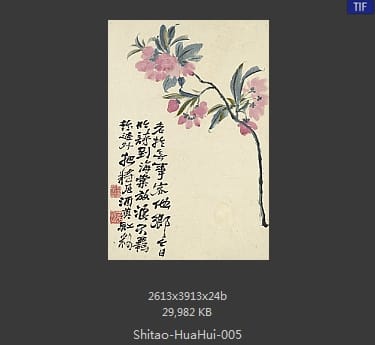 石涛-花卉册十帧
