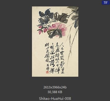 石涛-花卉册十帧