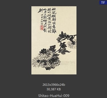 石涛-花卉册十帧