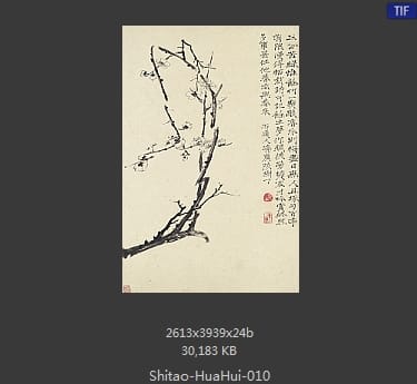 石涛-花卉册十帧