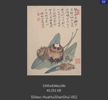 石涛-花卉山水册页