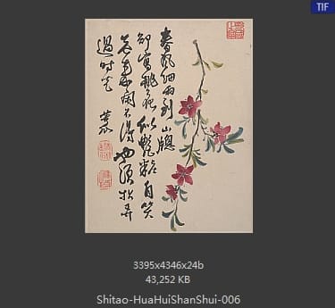 石涛-花卉山水册页