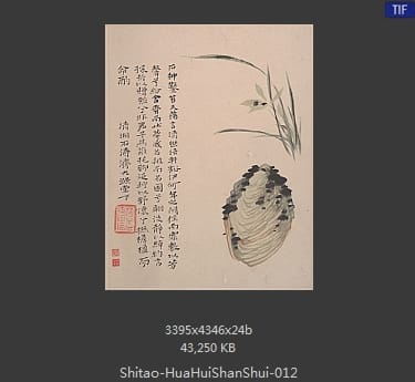 石涛-花卉山水册页