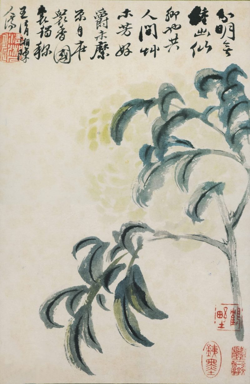 花鸟图册