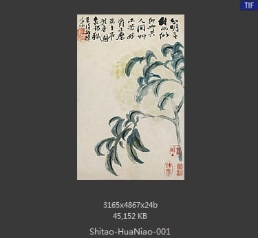 石涛-花鸟图册