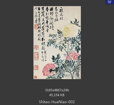 石涛-花鸟图册