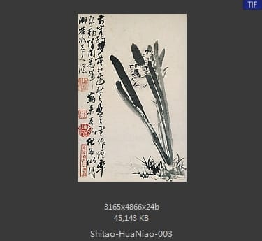 石涛-花鸟图册