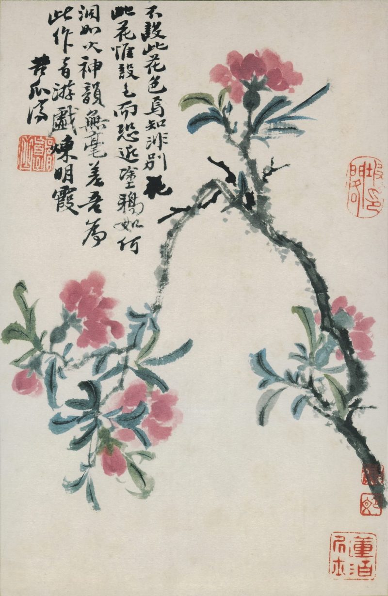 花鸟图册