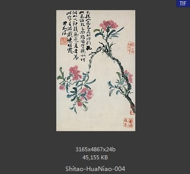石涛-花鸟图册