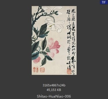 石涛-花鸟图册